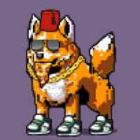 DogePunks #1920
