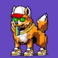 DogePunks #1007