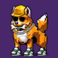 DogePunks #43