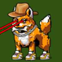 DogePunks #3723