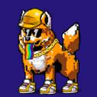 DogePunks #989