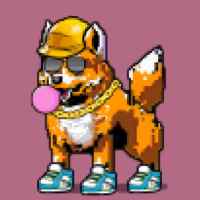 DogePunks #976