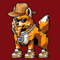 DogePunks #119