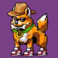 DogePunks #2619
