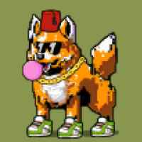 DogePunks #1071