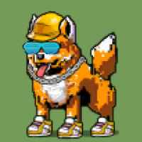 DogePunks #4995