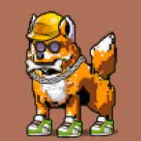 DogePunks #1077