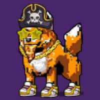 DogePunks #1069
