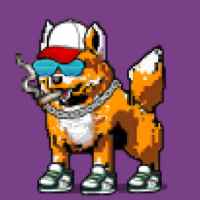 DogePunks #488