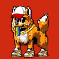DogePunks #1646