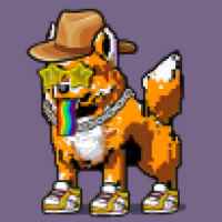 DogePunks #1023