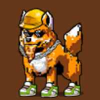DogePunks #2488