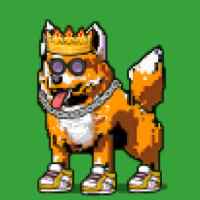 DogePunks #1625