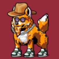 DogePunks #1618