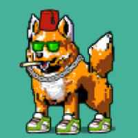 DogePunks #513