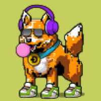 DogePunks #4215
