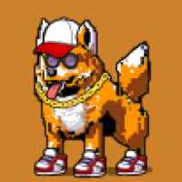 DogePunks #1967