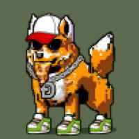 DogePunks #1923
