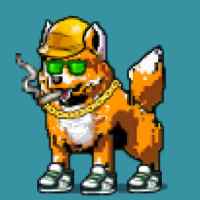 DogePunks #3667