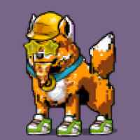 DogePunks #1519