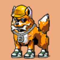 DogePunks #305