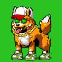 DogePunks #142