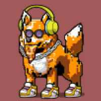 DogePunks #484
