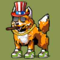 DogePunks #802