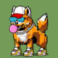 DogePunks #2331