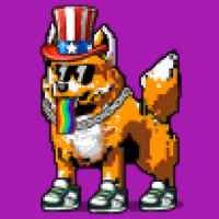 DogePunks #3604