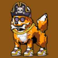 DogePunks #4582