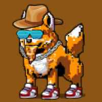 DogePunks #2396