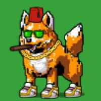 DogePunks #2961