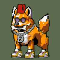 DogePunks #1020
