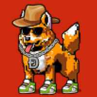 DogePunks #2802