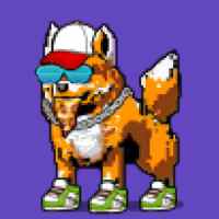 DogePunks #2519