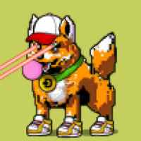 DogePunks #2030