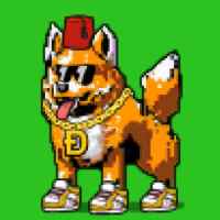 DogePunks #727