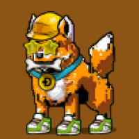 DogePunks #2343