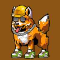 DogePunks #2224