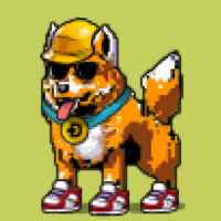DogePunks #4397