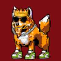 DogePunks #3216