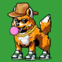 DogePunks #1667