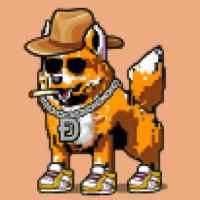 DogePunks #2069