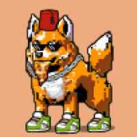 DogePunks #4385