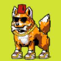 DogePunks #3657