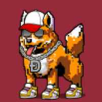 DogePunks #4648