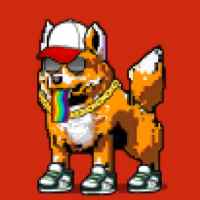 DogePunks #833