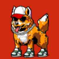 DogePunks #2562