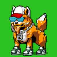 DogePunks #796